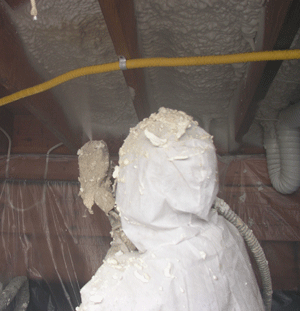 Fort Pierce FL crawl space insulation
